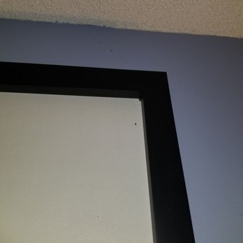 Bed Bug Zoom In On The Corner Room 202 Yelp