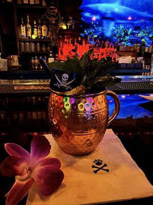 Stray Pirate - Tropical Cocktails & Effects by null