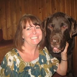 Happy Dogs - Photo from business website: happydogshomeboarding.co.uk