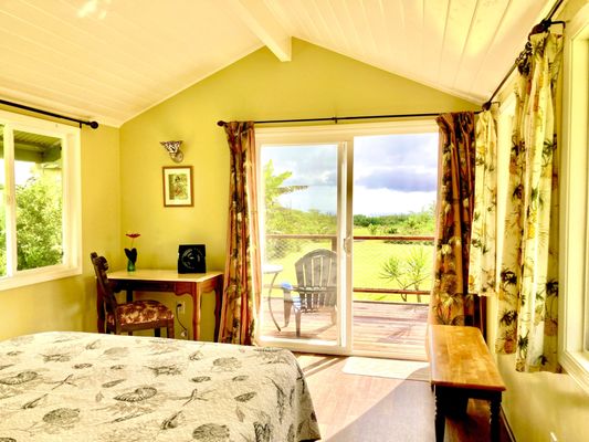 Puna Rainforest Retreat: Hot springs and steam vents by null