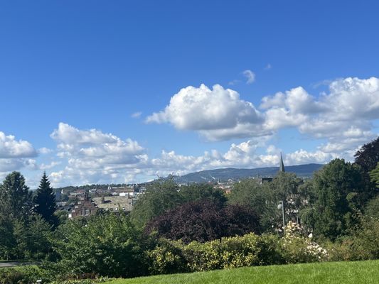 The Botanical Garden by null