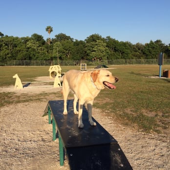 17th Street Dog Park - Hot days @PawPark - Dog Parks Near Me - Sarasota, Florida 17th Street Dog Park - Hot days @PawPark - Dog Parks Near Me - Sarasota, Florida