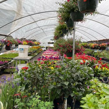 Giambrocco & Sons Garden Center - Boulder - Nurseries & Gardening Near Me - Boulder, Colorado Giambrocco & Sons Garden Center - Boulder - Nurseries & Gardening Near Me - Boulder, Colorado