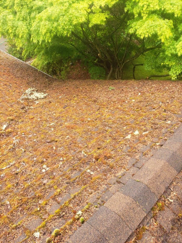 Slide of Diamond Touch Roof Cleaning and Repair