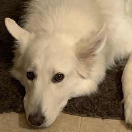 Our girl Winter Our girl Winter
