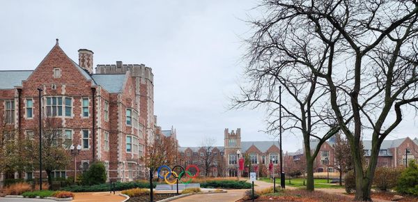 Washington University in St. Louis by null