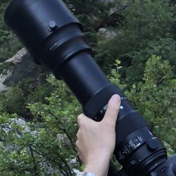 Pro Photo Rental - Rented this Sigma 150-600 here!