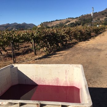 Kirigin Cellars - Wineries Near Me - Gilroy, California Kirigin Cellars - Wineries Near Me - Gilroy, California