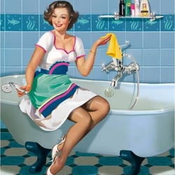 DomesticDahls - Experienced cleaners available for all Household or office need!