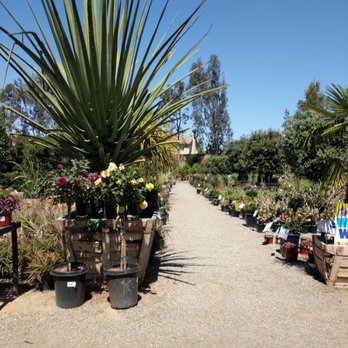 Moon Valley Nurseries Garden Center 2019 All You Need To Know Moon Valley Nurseries Garden Center