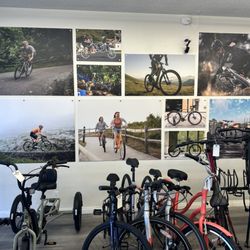 Torrance Bikes Showroom Wall