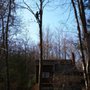Photo of Der Oskar Tree Service