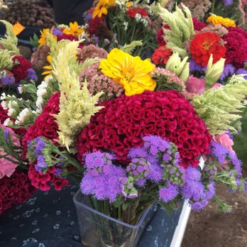 Fishers Farmers Market - Farmers Market Near Me - Fishers, Indiana