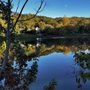 Photo of Roslyn Pond Park