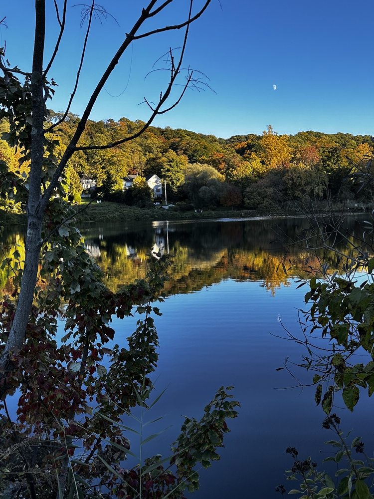 Roslyn Pond Park Image