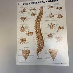 Advanced Neurosurgery