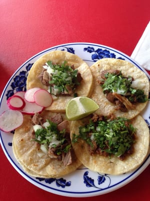 Taqueria Costa Alegre by null