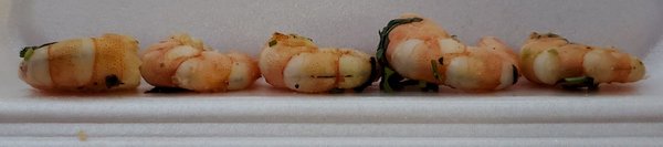 AZ Mucho Taco by null