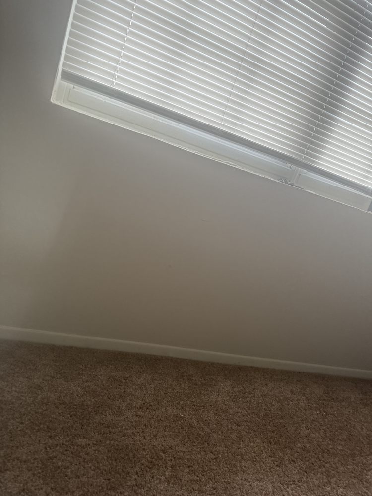 THE BLACKWAY CLEANING SERVICE Baltimore, Maryland Home Cleaning