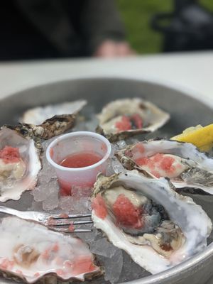 Buck Bay Shellfish Farm by null