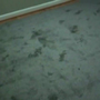 Photo of Carpet Gallery