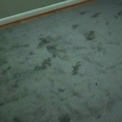 Carpet Gallery - new carpet delivered by Hagerstown.s Carpet Gallery