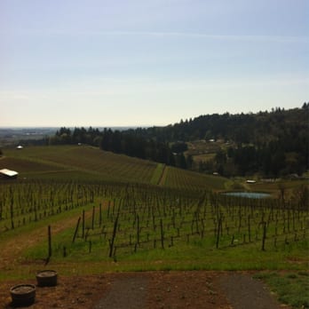 Winderlea Vineyard & Winery - Wine Tasting Room Near Me - Dundee, Oregon Winderlea Vineyard & Winery - Wine Tasting Room Near Me - Dundee, Oregon