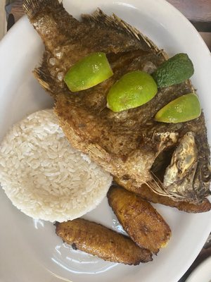 La Cucharita by null