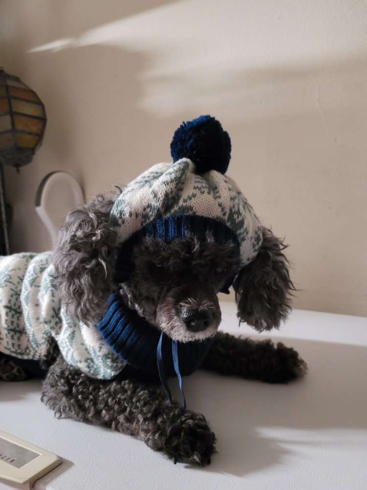 Golden & Timbol - disability attorney in Westminster, CA