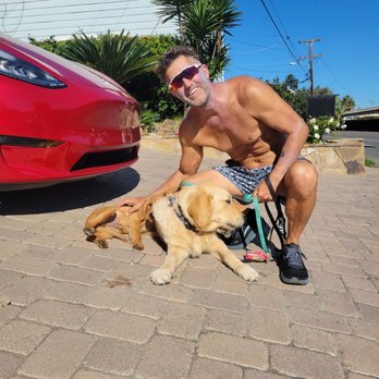 ProDog Training - Pet Training Near Me ProDog Training - Pet Training Near Me