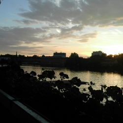 Sul Meno - Über dem Main, Blick nach Schweinfurt