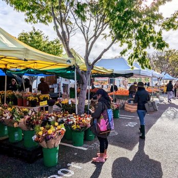 Mountain View Farmers’ Market - Inside the market - Farmers Market Near Me - Mountain View, California