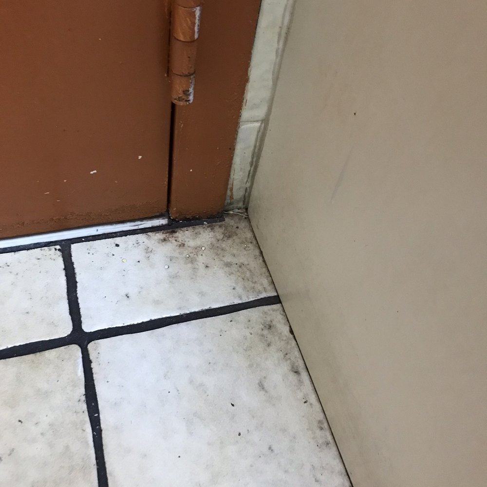 El Ranchito - a dirty bathroom floor with a rusted door - Mexican Near Me - Lady Lake, Florida El Ranchito - a dirty bathroom floor with a rusted door - Mexican Near Me - Lady Lake, Florida