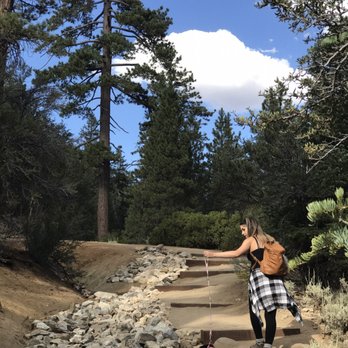 Cougar Crest Trail - Dog friendly. - Hiking Near Me Cougar Crest Trail - Dog friendly. - Hiking Near Me