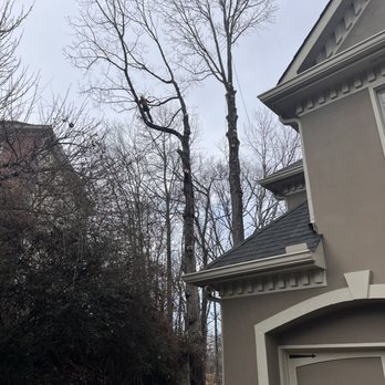 Exceed Tree Care - Tree Services Near Me Exceed Tree Care - Tree Services Near Me