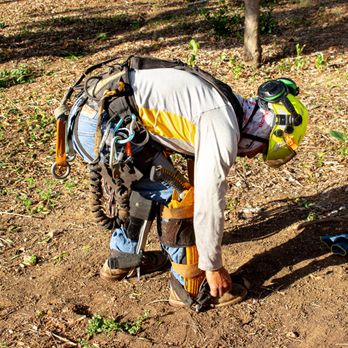 Favor Tree Care - a man bending over to pick up items - Tree Services Near Me - Santa Ana, California Favor Tree Care - a man bending over to pick up items - Tree Services Near Me - Santa Ana, California