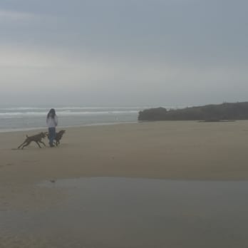 Fireside Motel - Beach outsode hotel at low tide. - Hotels Near Me - Yachats, Oregon Fireside Motel - Beach outsode hotel at low tide. - Hotels Near Me - Yachats, Oregon