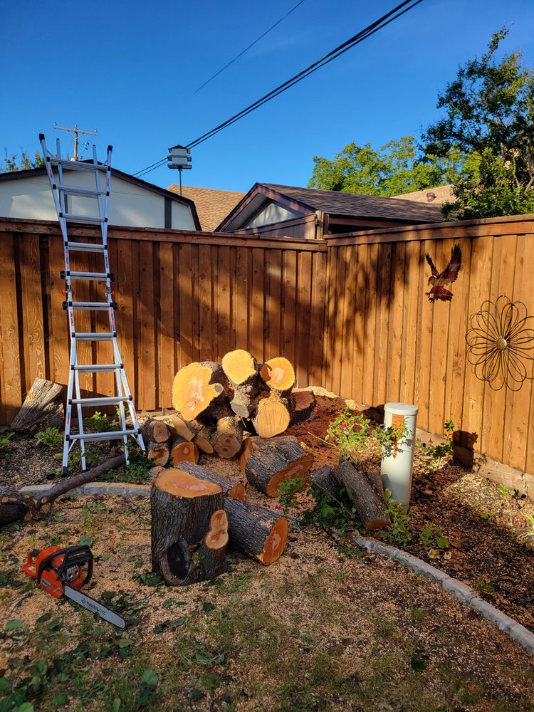 J R Enterprises and Tree Services - tree service in Haltom City, TX