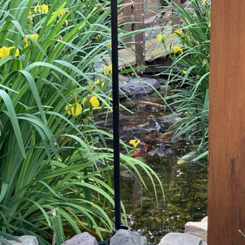 Los Andes Restaurant - koi pond! - Latin American Near Me - Providence, Rhode Island