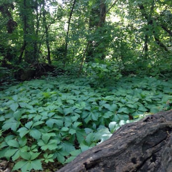 River Legacy Nature Center - Gorgeous scenery!!! - Museums Near Me - Arlington, Texas