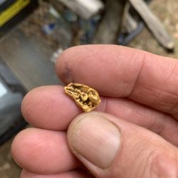 Had a great time found some gold will be back