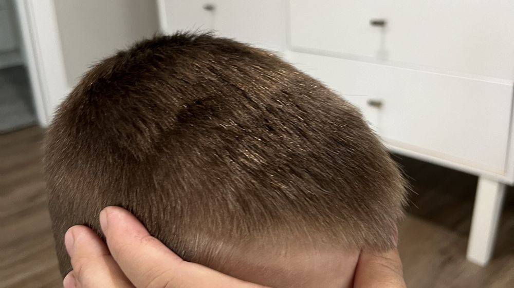 Great Clips Logo