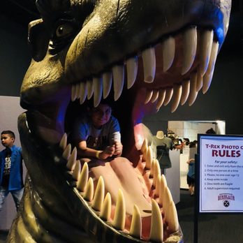 Bishop Museum - Museums Near Me - Honolulu, Hawaii