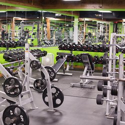 Gator Fitness of the Shoals