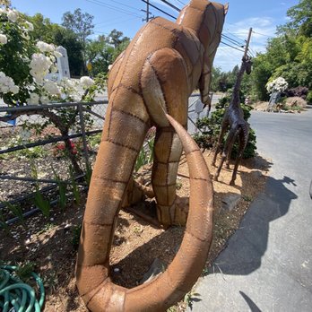 Pricketts Nursery - T-Rex tail! - Nurseries & Gardening Near Me - Healdsburg, California