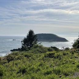 Harris Beach State Park