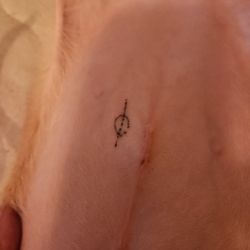 North Orange Animal Hospital - This is the mark this joker put on my baby. It's coming off!!!!