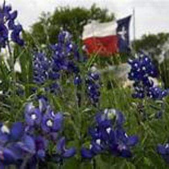The Flag Store - Texas flags in all sizes, made in the USA. - Hobby Shops Near Me - Dallas, Texas The Flag Store - Texas flags in all sizes, made in the USA. - Hobby Shops Near Me - Dallas, Texas
