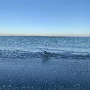 Belleair Beach - Beaches Near Me - Belleair Beach, Florida