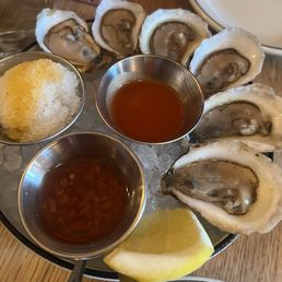 Oysters Oysters